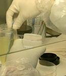 Cómo detectar la bacteria E.coli STEC con seguridad