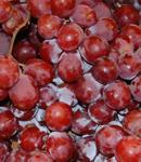 El Ifapa obtiene vino tinto enriquecido con antioxidante a partir de uvas irradiadas