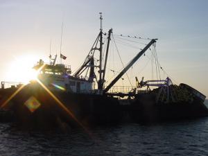 La CE presentará una reforma pesquera para frenar la sobreexplotación