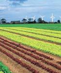 La innovación en el sector agrícola-ganadero, fundamental para alimentar el mundo respetando el medio ambiente