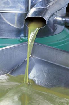 La Junta solicita la activación urgente del almacenamiento privado de aceite de oliva virgen