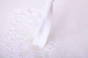 Productores de leche se muestran satisfechos con "culminación" de negociación en UE sobre el lácteo