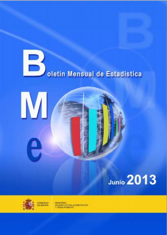 Boletín Mensual de Estadistica: Junio 2013