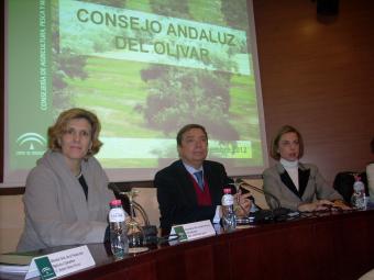 El consejero durante el acto de constitución del Consejo Andaluz del Olivar
