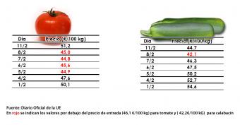 Precios de entrada de tomate y calabacín de Marruecos a la UE del 1 al 11 de febrero