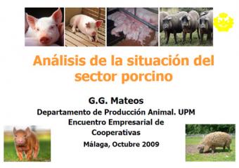 Análisis de la situación del sector porcino