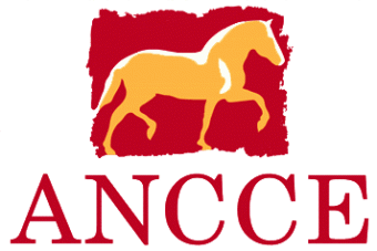 ANCCE, Asociación Nacional de Criadores de  Caballos de Pura Raza Española