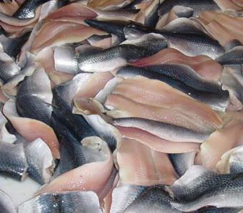 Cepesca defiende el reparto de cuotas por modalidades de pesca