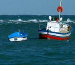 El Congreso aprueba la regularización de embarcaciones de pesca irregulares