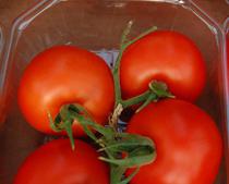 El precio en origen del tomate liso subió un 34,51% la pasada semana