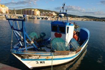Europa reconoce excepcionalidad de marisqueros que capturan bivalvos en el Mediterráneo