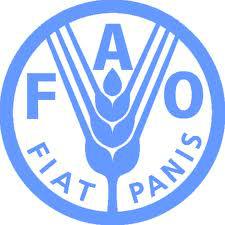 FAO Pesca & Acuicultura