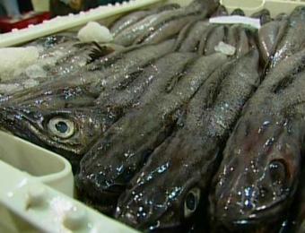 La CE propone aumentar la pesca de merluza, rape y bacalao en aguas ibéricas