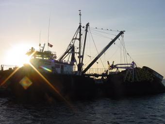 La CE propone un nuevo Fondo de Pesca que no dará ayudas al desguace de barcos