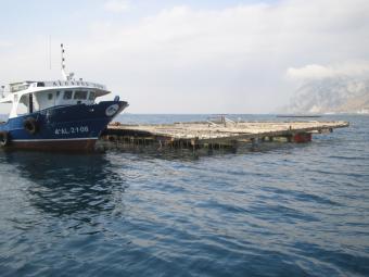 La Delegación Provincial reabre el caladero de marisco de Málaga tras 42 días de cierre