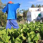 La UE otorga 53 millones para recuperar la economía en zonas rurales de España