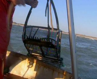 Los mariscadores creen que el cierre de zonas fomenta la ilegalidad en el sector