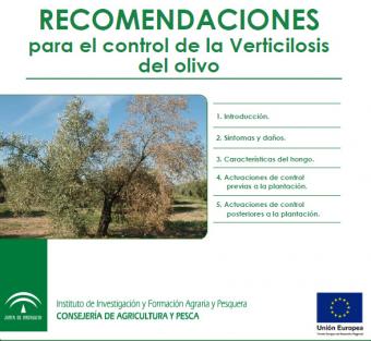 Recomendaciones para el control de la Verticilosis del olivo